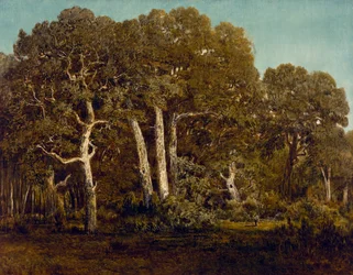 Die großen Eichen von Old Bas-Breau, 1864